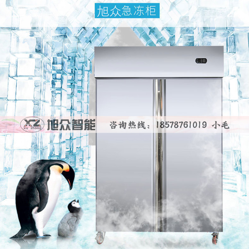 速凍機(jī)零下45度插盤式22盤冷藏柜冷凍柜急速冷凍冰箱冰柜