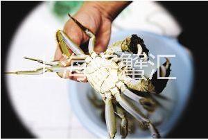 吃大閘蟹無(wú)需追著大閘蟹跑