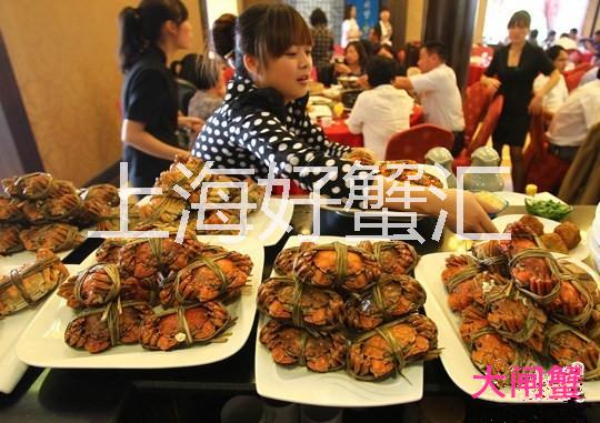 陽澄湖大閘蟹禮卡禮卷等你來拿 陽澄湖大閘蟹禮卡禮券