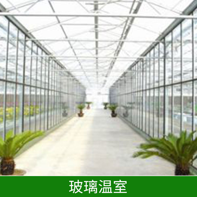 玻璃溫室具有整體性好造價(jià)較低結(jié)構(gòu)穩(wěn)定性使用壽命長(zhǎng)自然通風(fēng)玻璃溫室廠家直銷