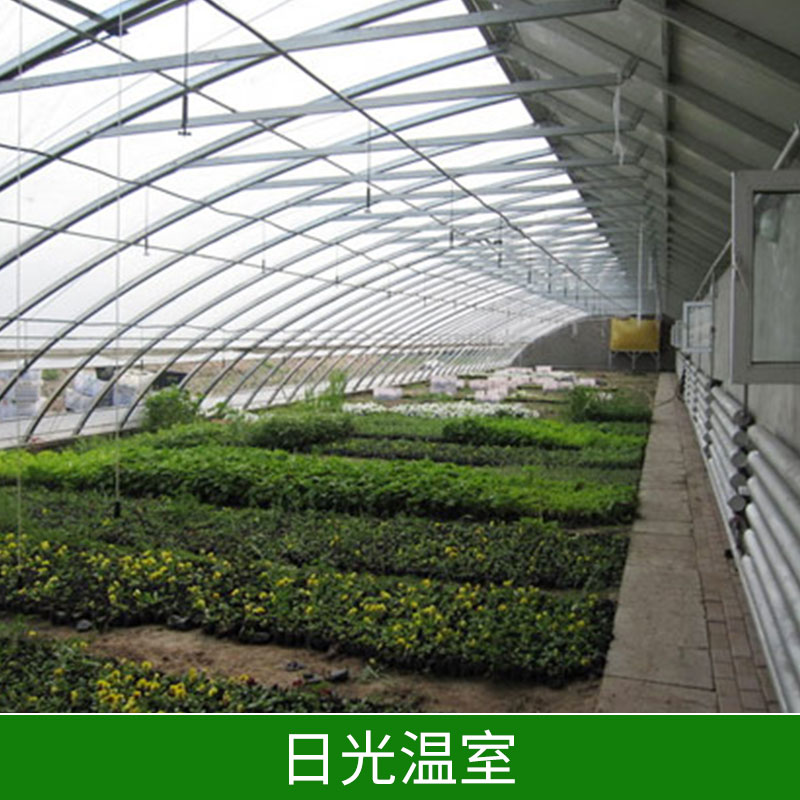 邯鄲日光溫室 河北日光溫室工程  日光溫室設(shè)計(jì)