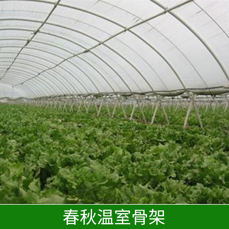 溫室骨架_花卉大棚骨架_養(yǎng)殖大棚骨架-邯鄲市鑫凱農(nóng)業(yè)科技有限公司
