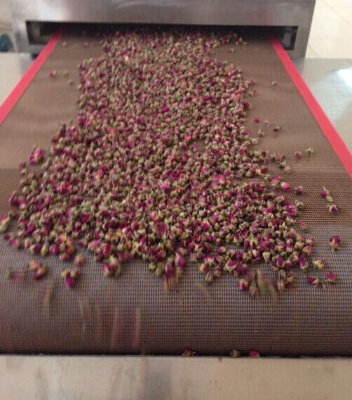 溫州玫瑰花微波干燥設備，溫州玫瑰花微波干燥設備生產，溫州干燥設備