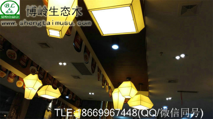博嶺生態(tài)木吊頂工藝40*20組合