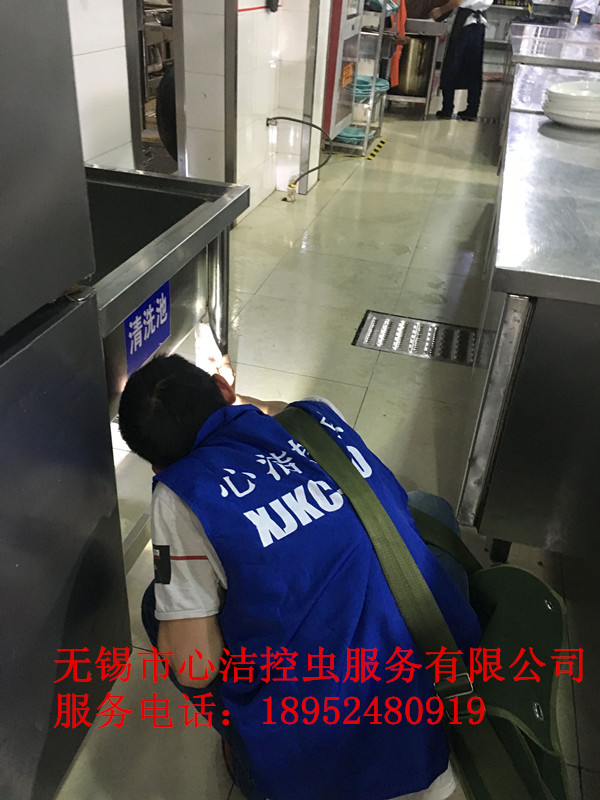 常熟滅鼠公司--心潔控蟲有限公司