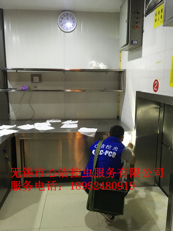 江陰滅鼠公司--心潔控蟲(chóng)服務(wù)有限