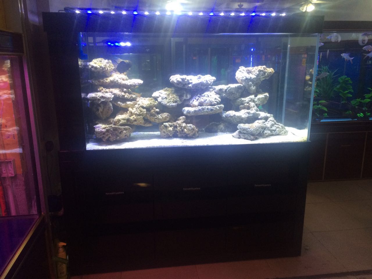 廣州清洗魚缸，清潔魚缸，魚缸護理