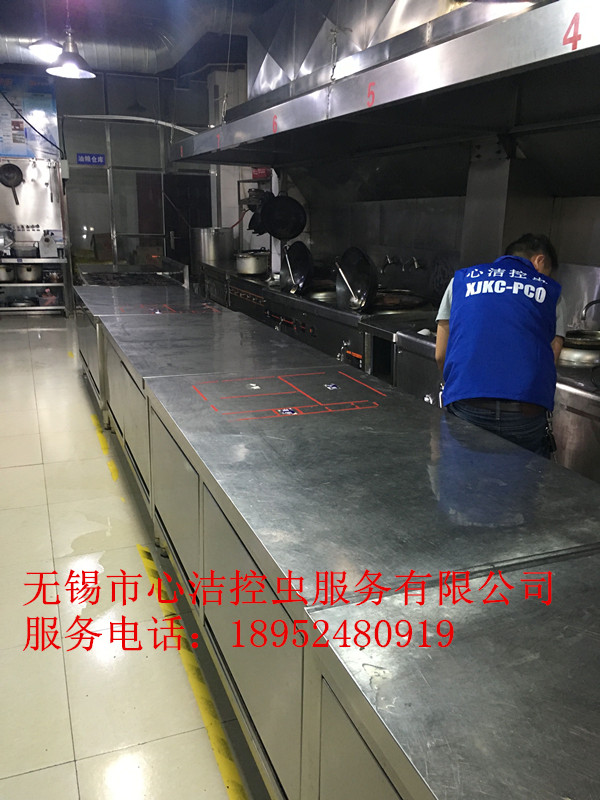 江陰滅鼠公司--心潔控蟲(chóng)服務(wù)有限