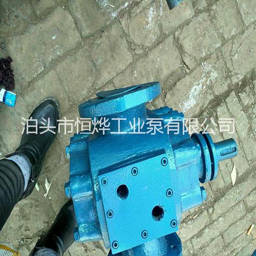 河北LQB瀝青保溫泵 優(yōu)質LQB瀝青保溫泵供應