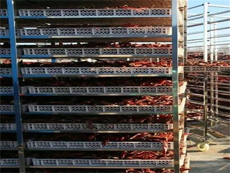 貴州遵義辣椒烘干機(jī) 大型辣椒烘干設(shè)備 流水線(xiàn)辣椒烘干機(jī) 辣椒烘箱