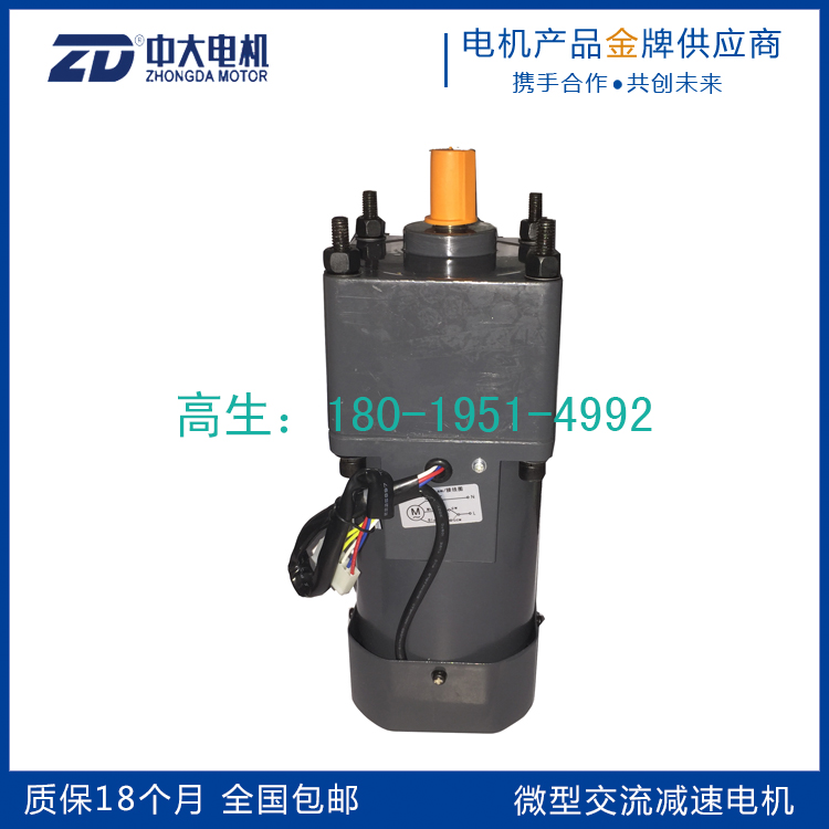 中大200W交流調(diào)速齒輪減速電機(jī)