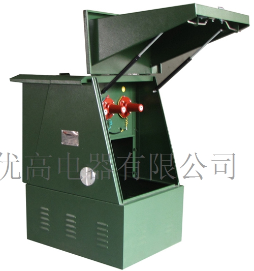 10KV帶開關(guān)電纜分支箱 10KV帶開關(guān)電纜分支箱價(jià)格 10KV帶開關(guān)電纜分支箱廠家