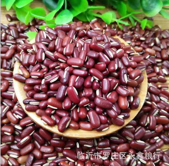 赤小豆批發(fā)農(nóng)家長粒優(yōu)質(zhì)赤小豆赤豆非紅小豆薏米搭檔五谷雜糧袋裝