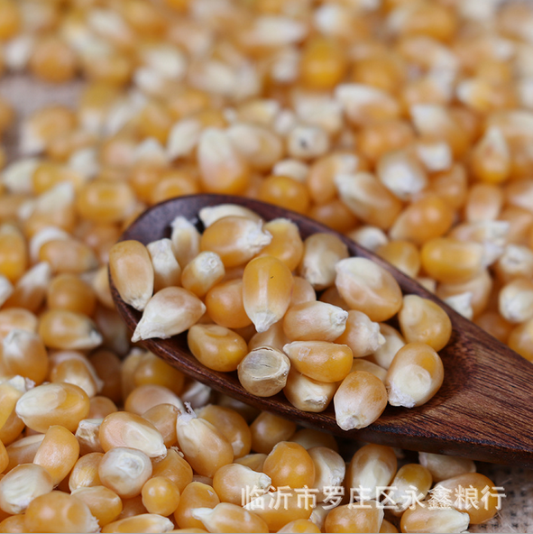 特級(jí)爆米花小玉米粒 特級(jí)爆米花爆裂小玉米粒