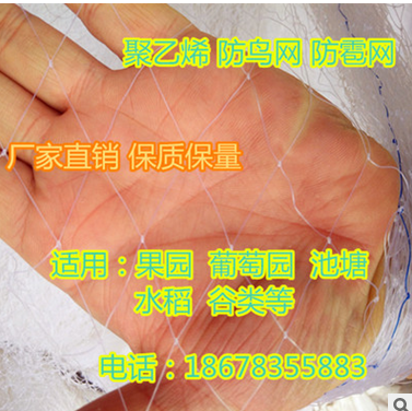 葡萄網(wǎng)枸杞網(wǎng)網(wǎng)具批發(fā)網(wǎng)具供應(yīng)商網(wǎng)具廠家