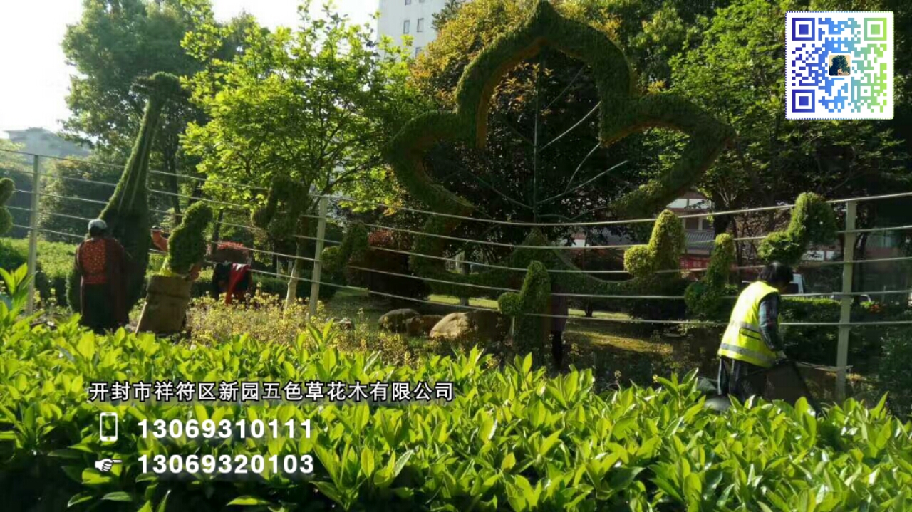 開封新園五色草植物立體造型