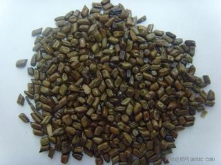 決明子提取物
