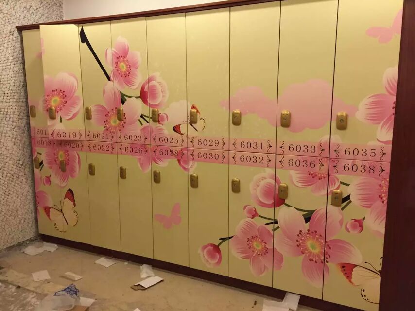 江蘇浙江更衣柜廠家批發(fā)美容院瑜伽館更衣柜彩繪 漂亮的彩繪拼花更衣柜儲物柜新款2017 瑜伽館美容院漂亮更衣柜