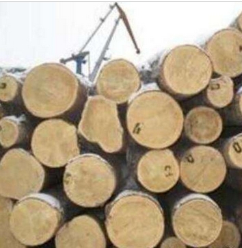 滿洲里柏林經(jīng)貿(mào)有限公司-西伯利亞 柏林西伯利亞白松