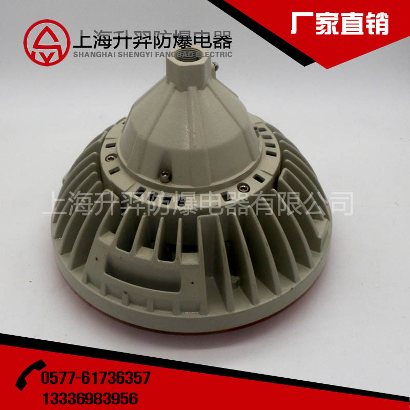 隔爆型防爆燈SED61吸頂式防爆金鹵燈