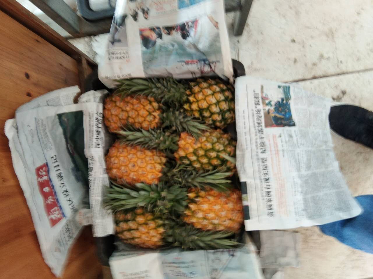 豐縣油桃銷售  各種水果銷售批發(fā)