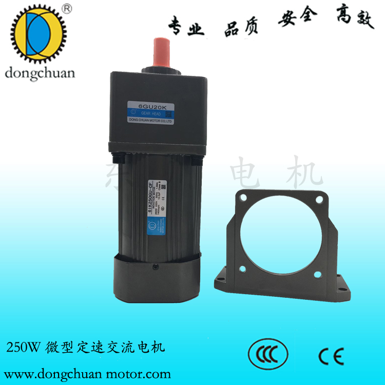 供應(yīng)250W定速電機(jī)，東川定速電機(jī)，東川6W-250W定速電機(jī) 深圳東川廠家直銷250W定速電機(jī)