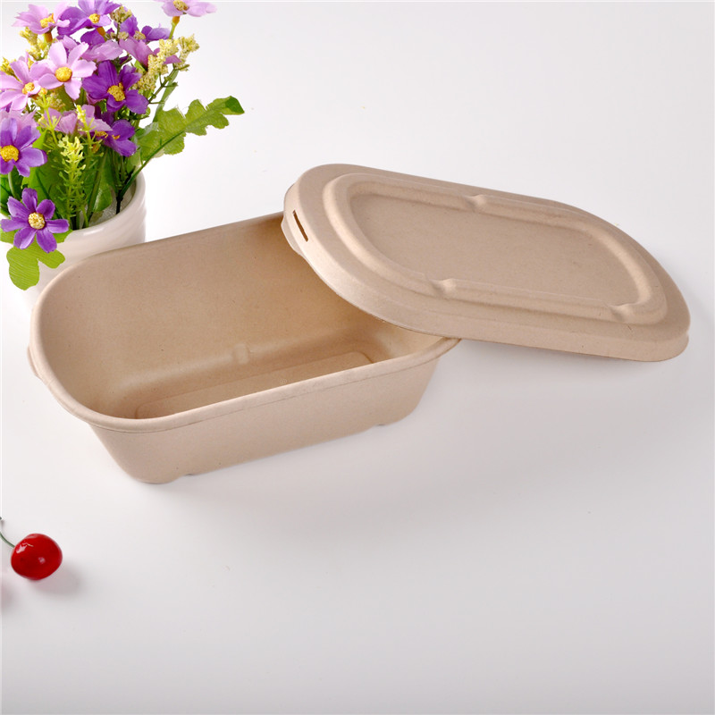 宜佳宜一次性紙漿環(huán)保餐盒