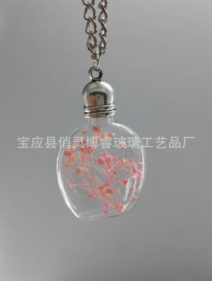 廠家直銷 韓版項(xiàng)鏈 創(chuàng)意漫天星干花系列 玻璃瓶吊墜 可定制