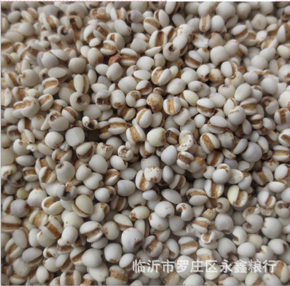 貴州薏米批發(fā)薏仁米五谷雜糧長(zhǎng)期供應(yīng)貴州薏米薏米廠家直銷