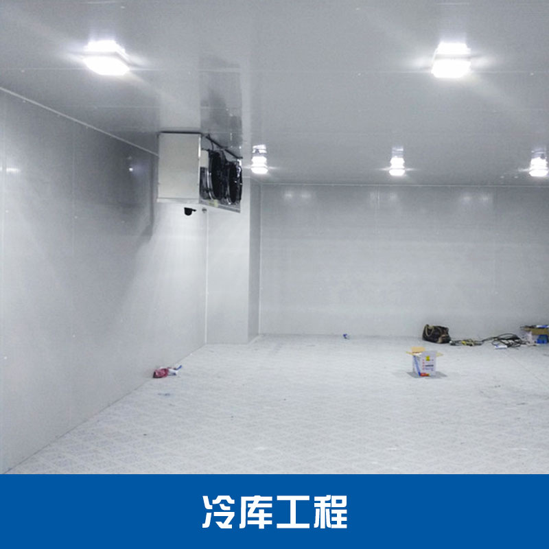 冷庫 徐州冷庫廠家 冷庫板 冷庫 肉類冷庫