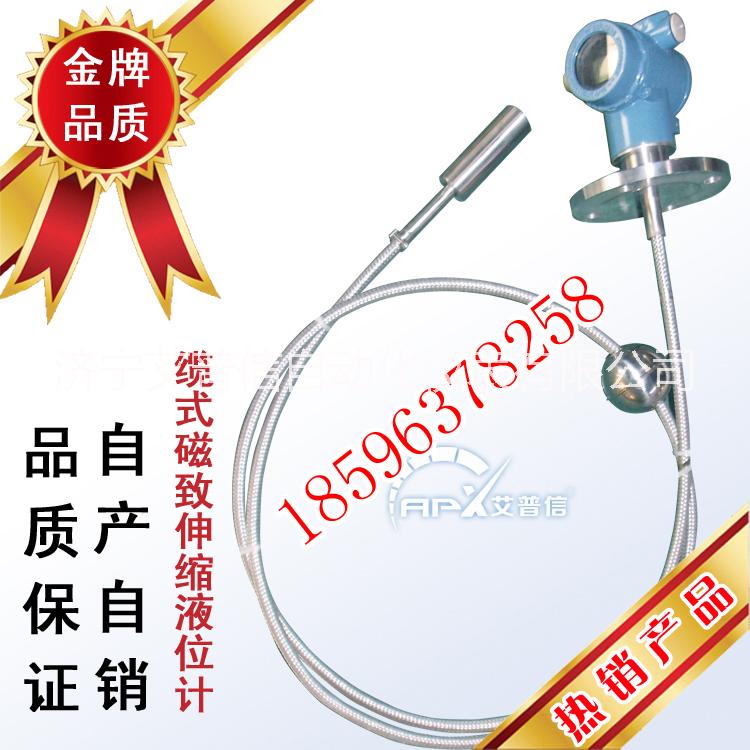 多功能磁致伸縮液位計(jì)價(jià)格  上海磁致伸縮液位計(jì)生產(chǎn)廠家