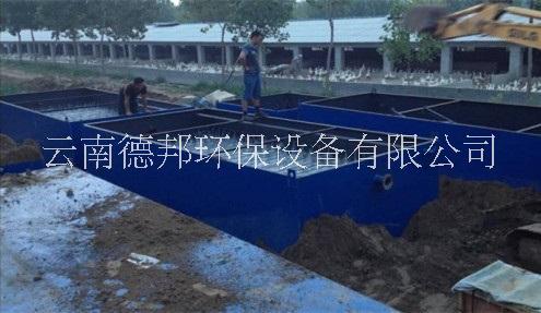 云南養(yǎng)殖廠污水處理設(shè)備選云南德邦環(huán)保，價格合理