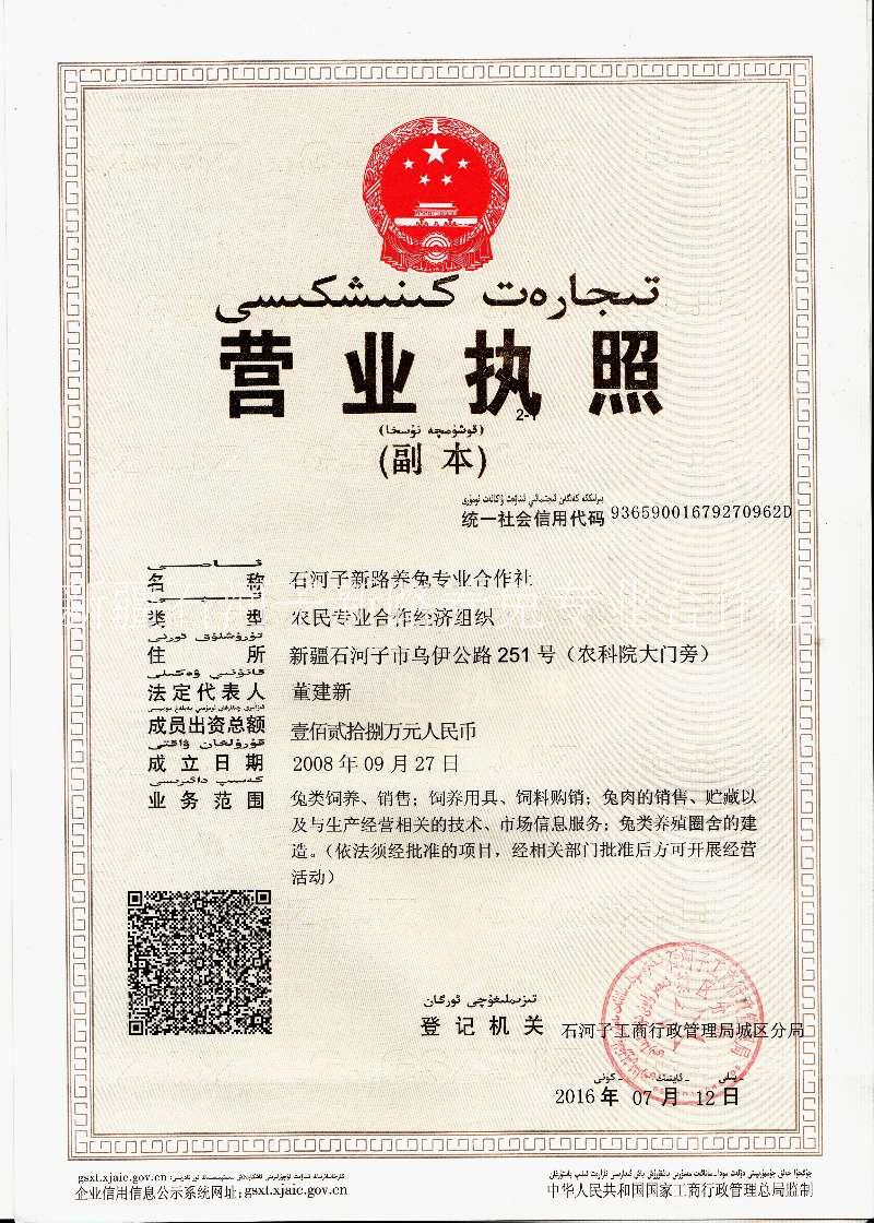 種兔合作社新疆種兔合作社純正種兔批發(fā)肉兔種兔獺兔