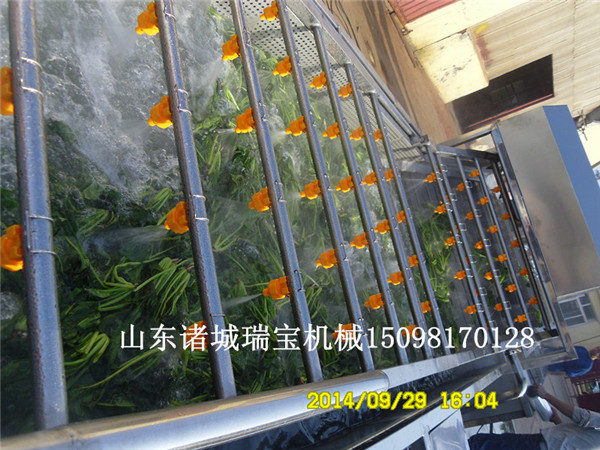 供應(yīng)瑞寶全自動(dòng)洗菜機(jī)