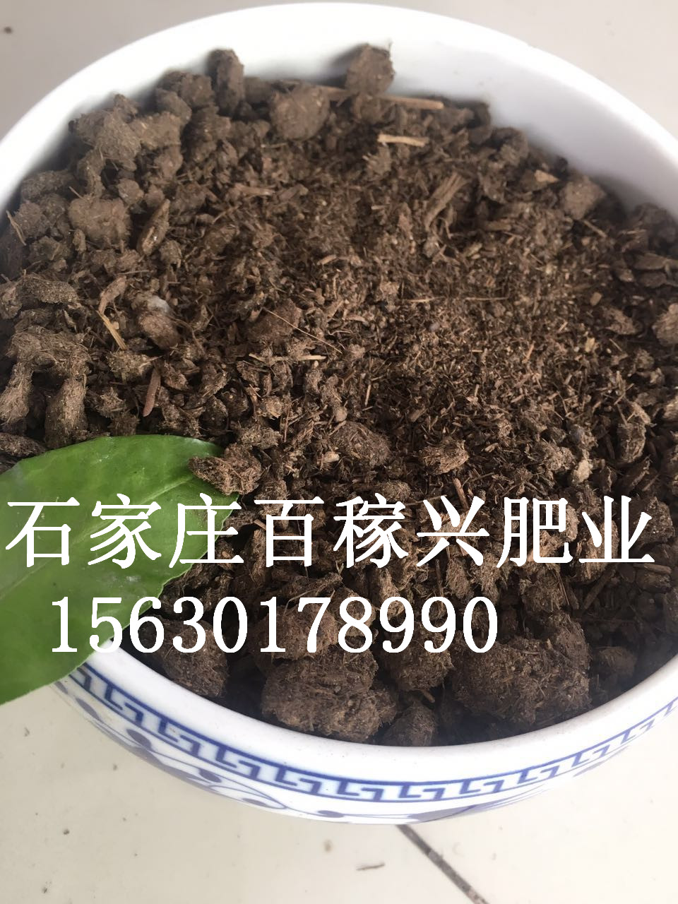 純干牛糞 發(fā)酵牛糞有機(jī)肥 蘑菇 藍(lán)莓 *底肥