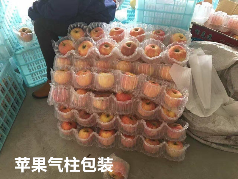 快遞打包防震氣柱 蘋果氣柱袋 水果包裝 保鮮防壞包裝氣柱