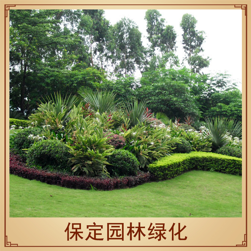 保定園林綠化工程公司園林景觀整體規(guī)劃設(shè)計(jì)綠化植物造型設(shè)計(jì)