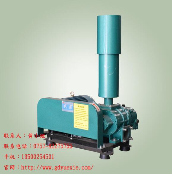 YXR-150三葉羅茨鼓風(fēng)機(jī)