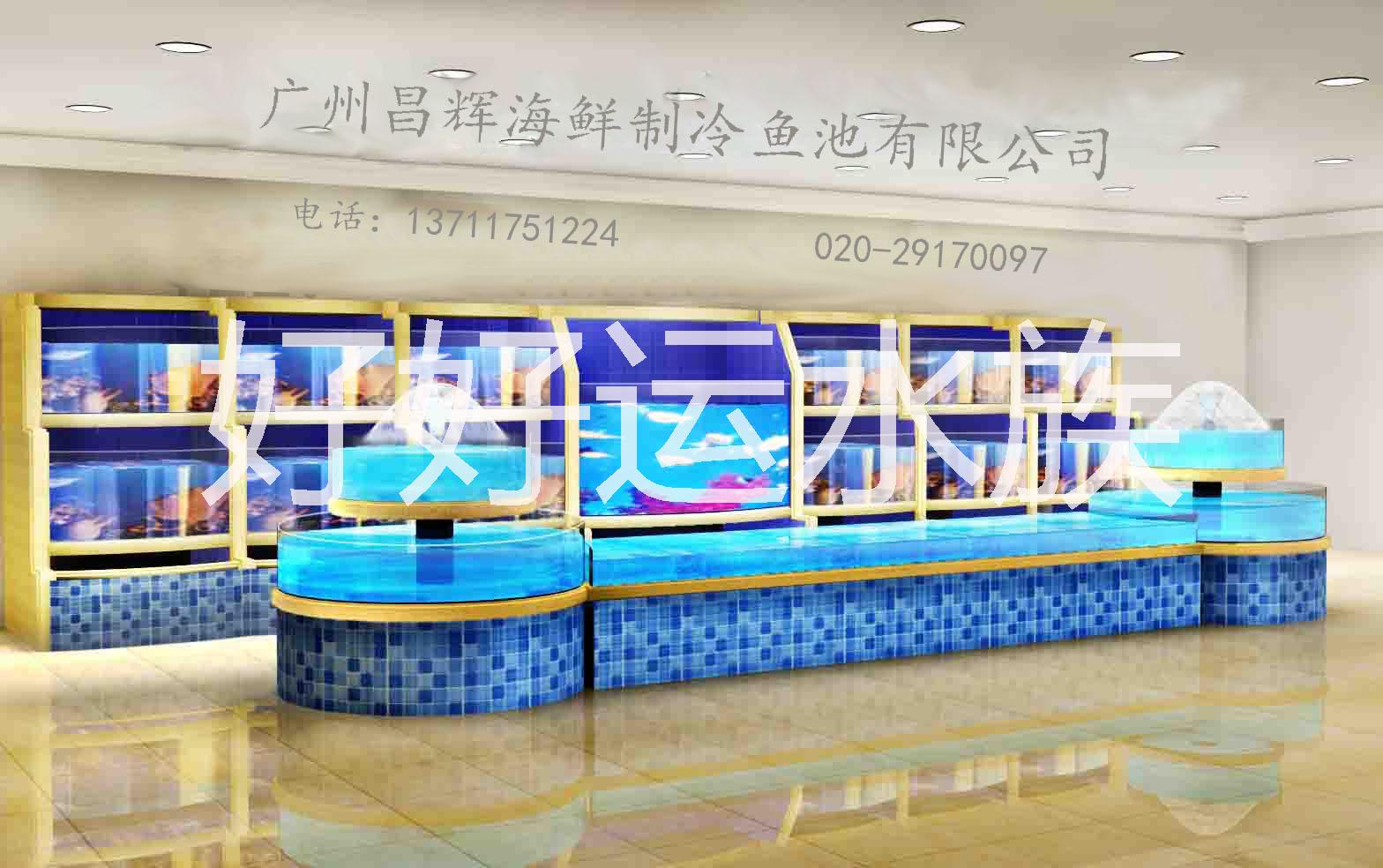 廣州屏風(fēng)魚缸，廣州家庭魚缸