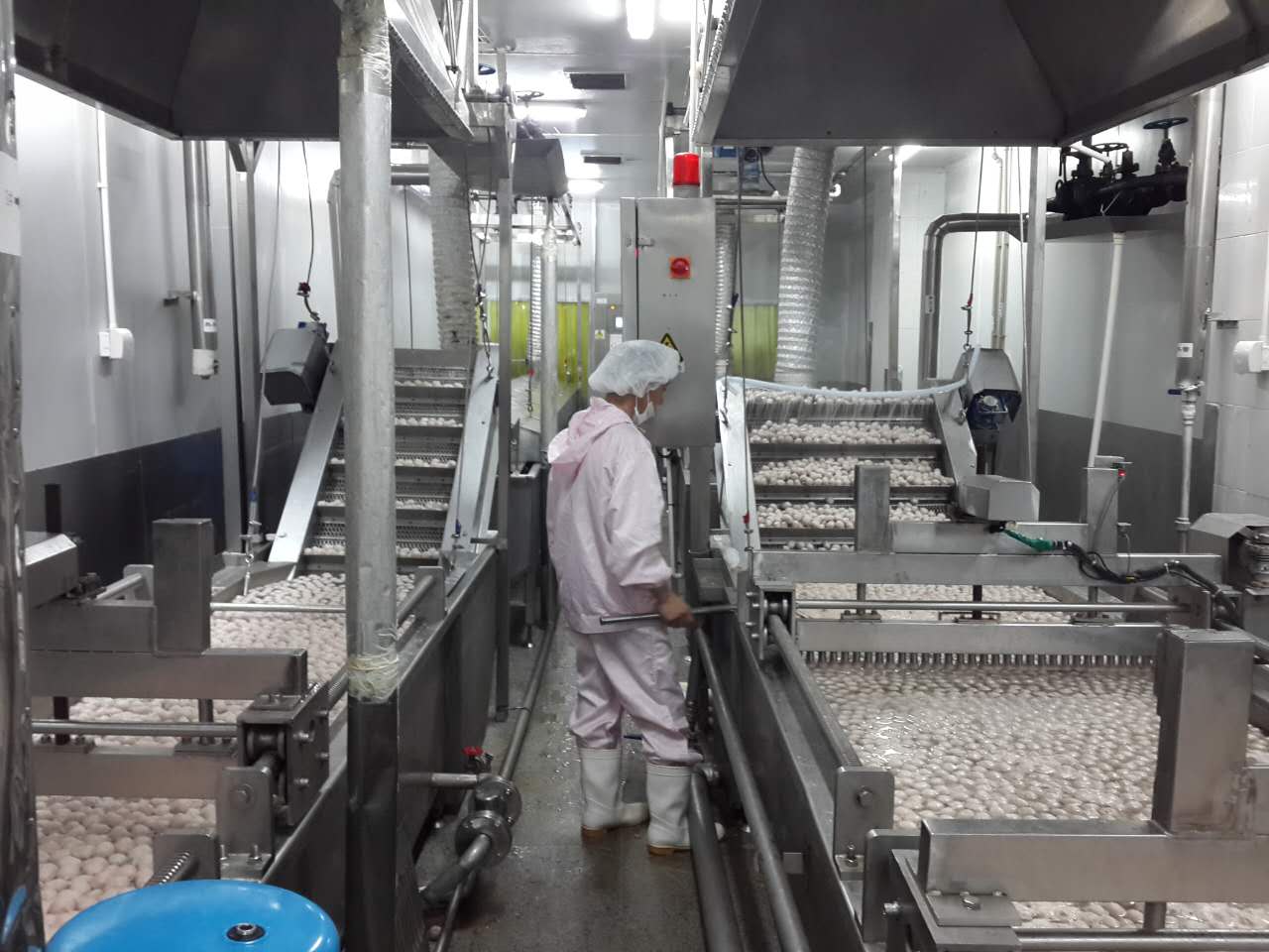 食品生產(chǎn)線水煮線食品加工設(shè)備深圳廠家直銷