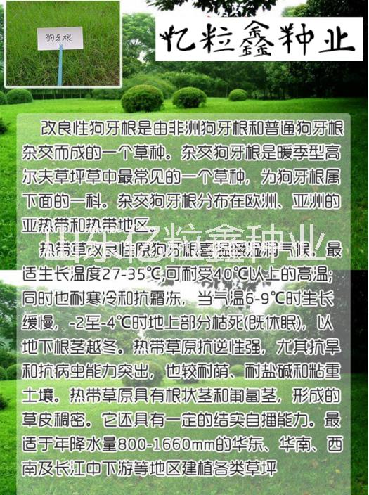 江蘇省蘇州市四季開(kāi)花的護(hù)坡草種