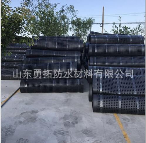 排水板地下室排水板批發(fā)凹凸塑料蓄排水板山東塑料排水板 排水板報(bào)價(jià) 山東周邊排水板