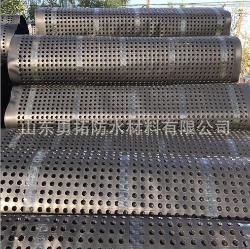 排水板地下室排水板批發(fā)凹凸塑料蓄排水板山東塑料排水板 排水板報(bào)價(jià) 山東周邊排水板