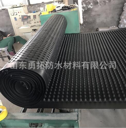 排水板地下室排水板批發(fā)凹凸塑料蓄排水板山東塑料排水板 排水板報(bào)價(jià) 山東周邊排水板