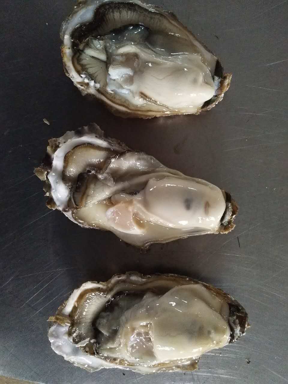 乳山牡蠣多少錢 生蠔價(jià)格一斤多少錢 海蠣子貨源 乳山牡蠣多少錢 生蠔價(jià)格多少錢
