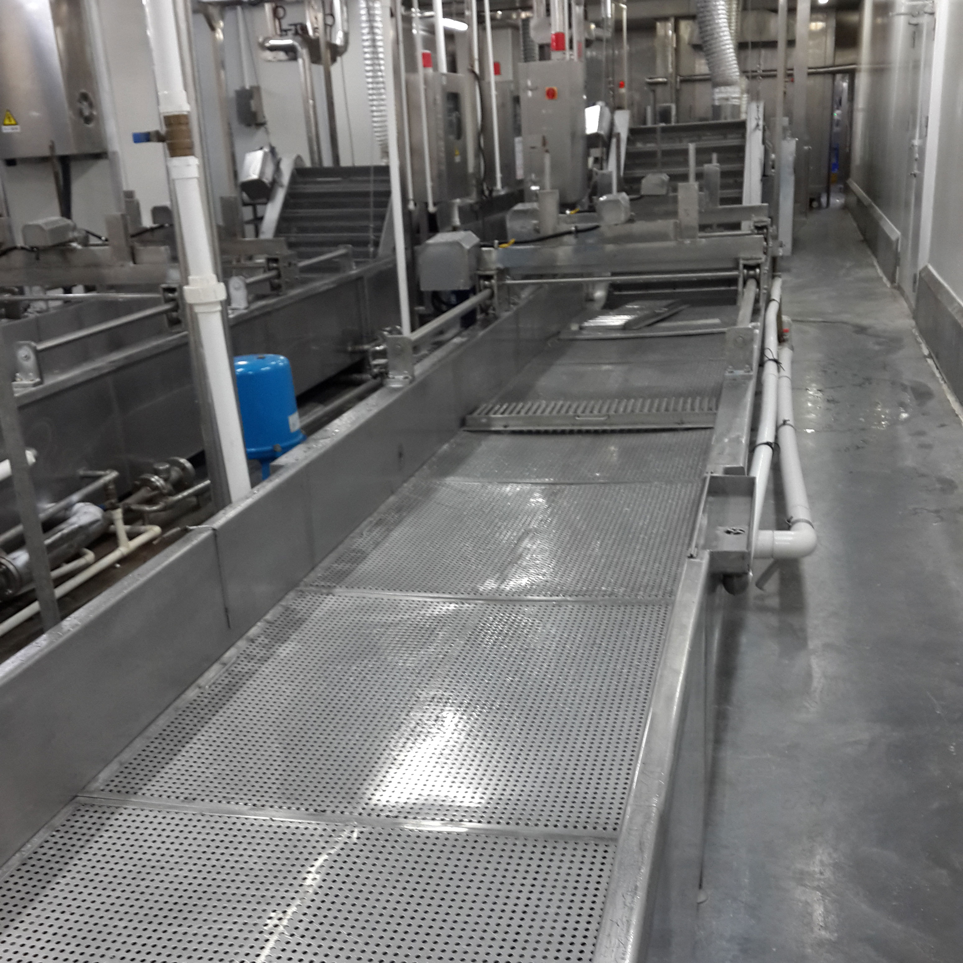 自動肉丸成型線自動化食品生產(chǎn)線廣東省食品機(jī)工廠家直銷