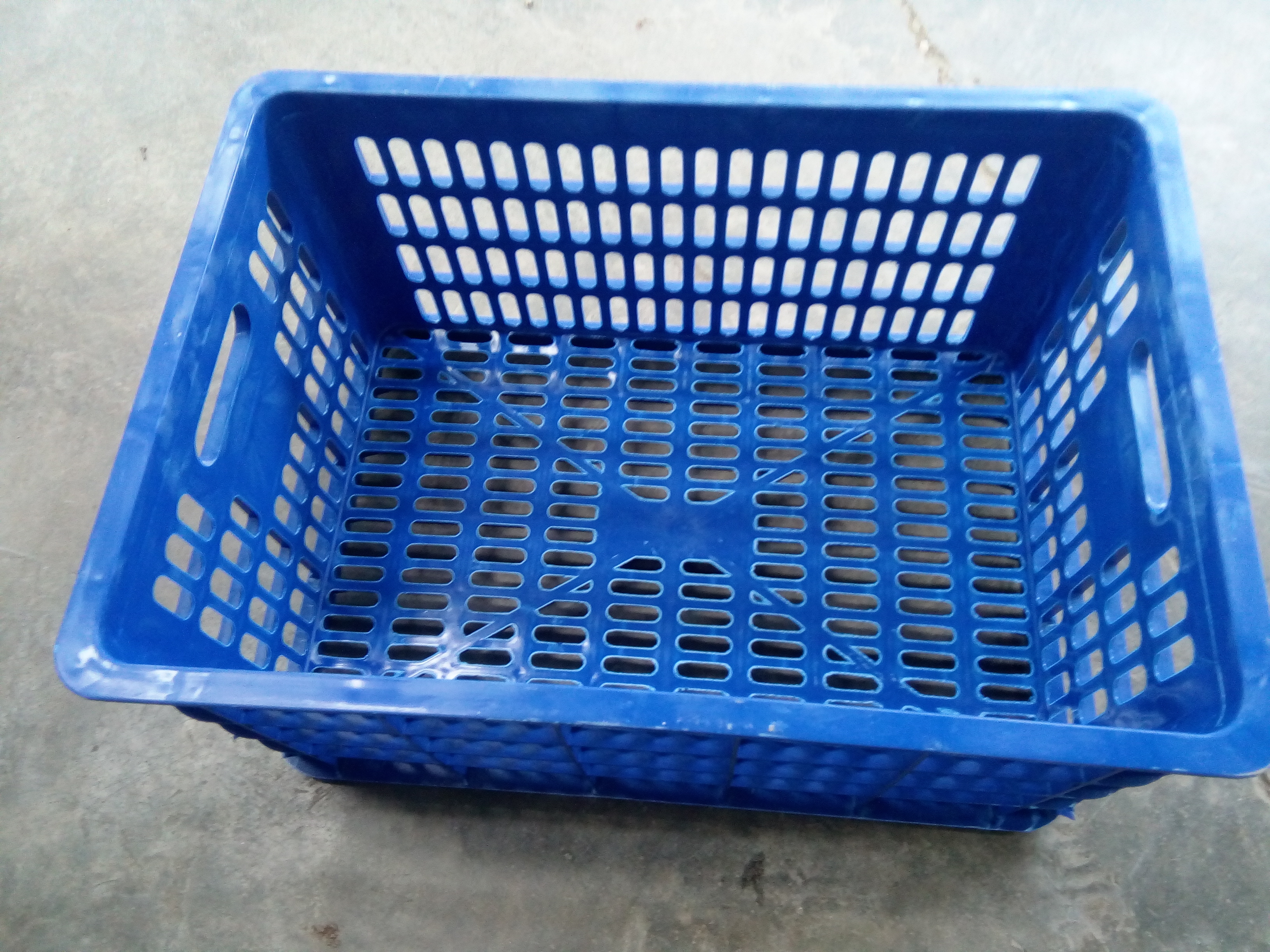 供應云南大理賓川紅提葡萄價格 遼寧長春紅提葡萄批發(fā)價格