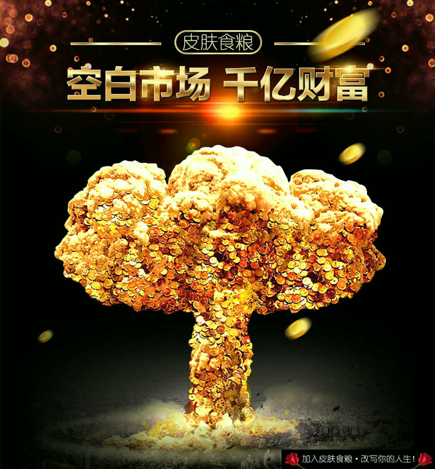 皮膚食糧化妝品成分，皮膚食糧微商代理