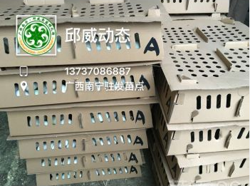 供應批發(fā)大種番鴨苗  大種番鴨苗經(jīng)銷商