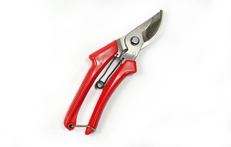 蝴蝶手剪蝴蝶剪定鋏樹枝剪花卉果樹*園藝剪子花*剪枝剪耐用鋒利